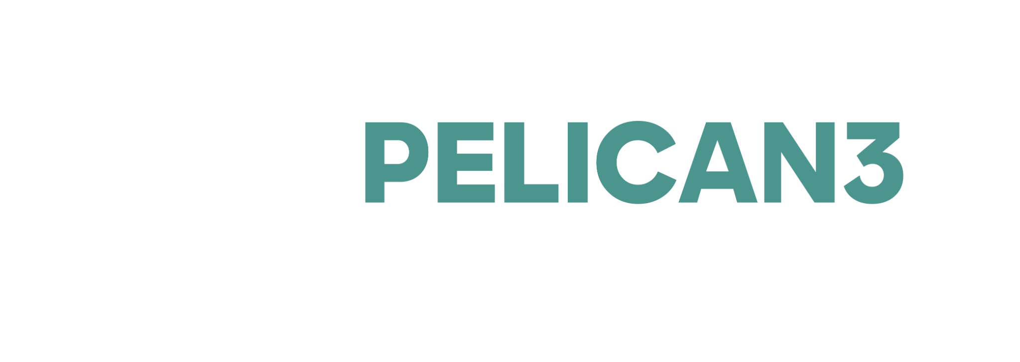 Pelican3 Banner - white pelican