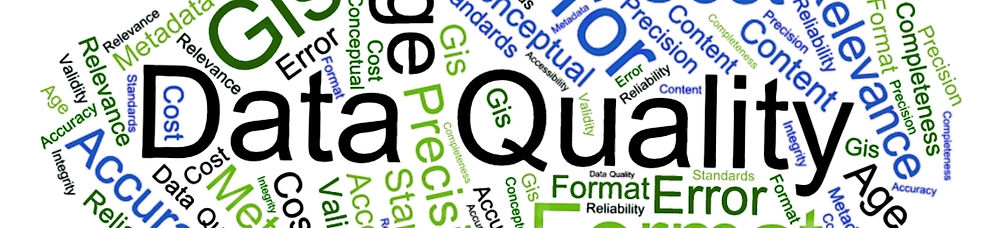 Mastering Data Governance: The Importance of Data Quality Management